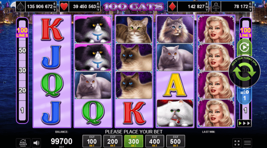 100 Cats Jeu