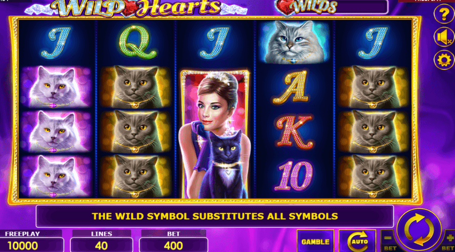 Wild Heart Jeu