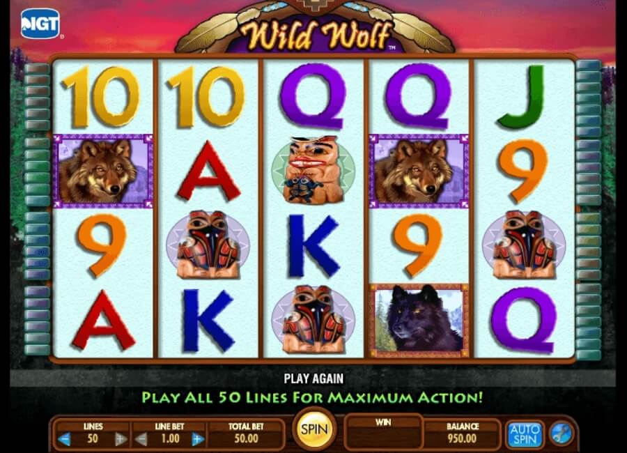 Wild Wolf jeu